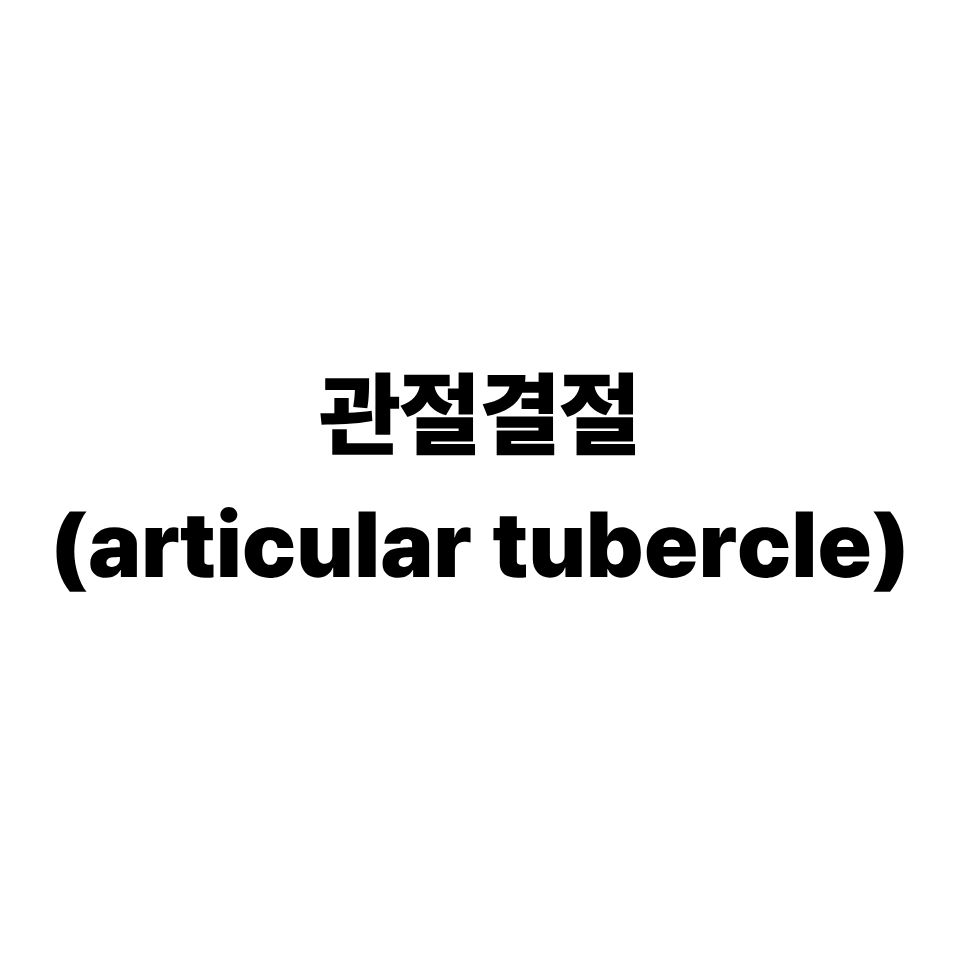 관절결절