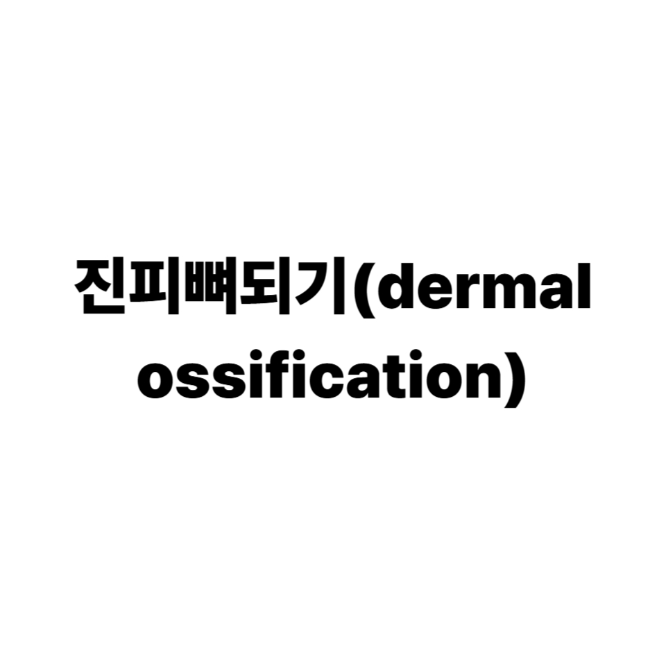 진피뼈되기