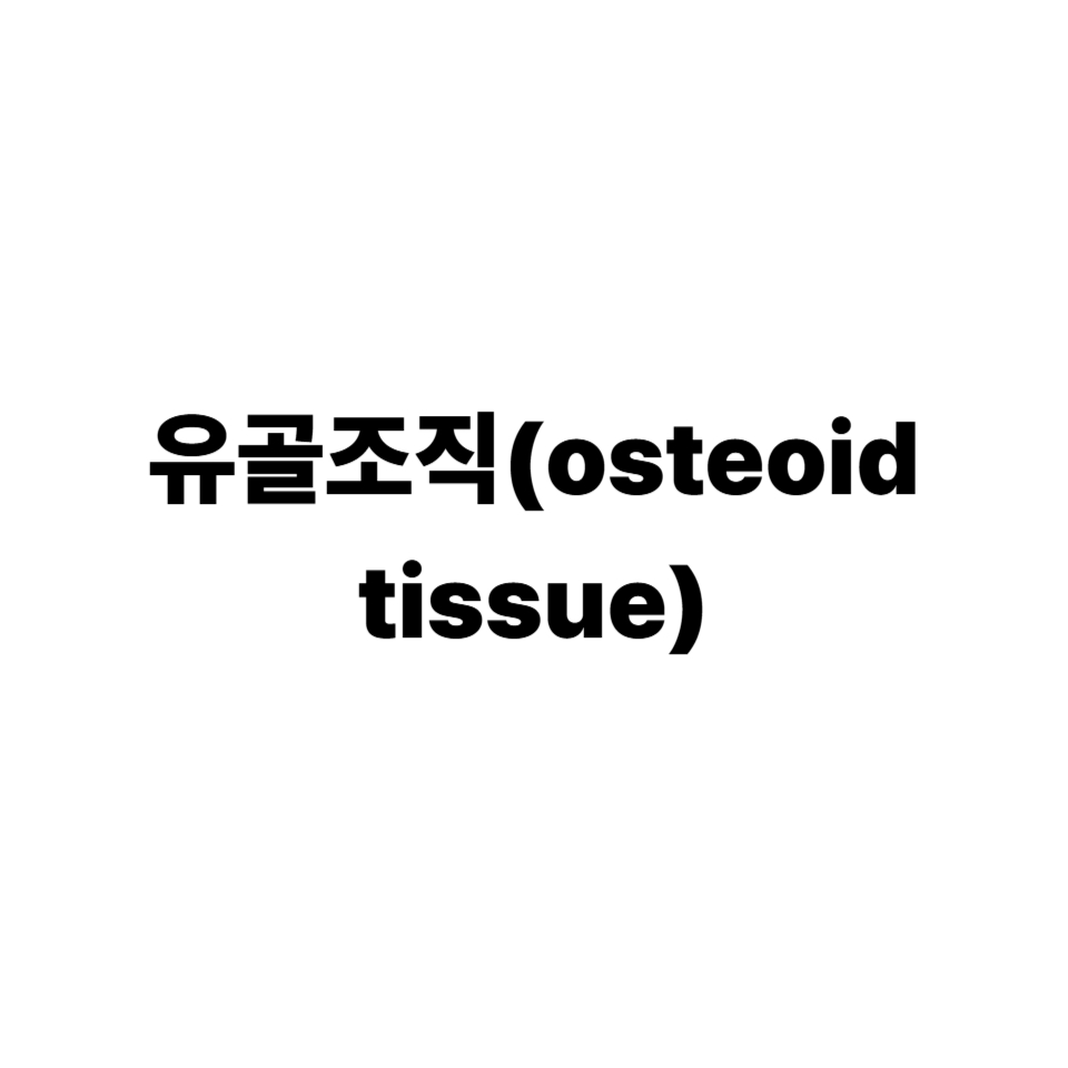 유골조직