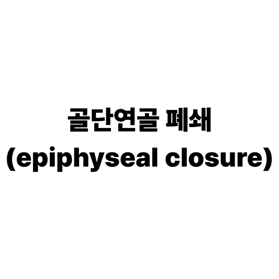 골단연골