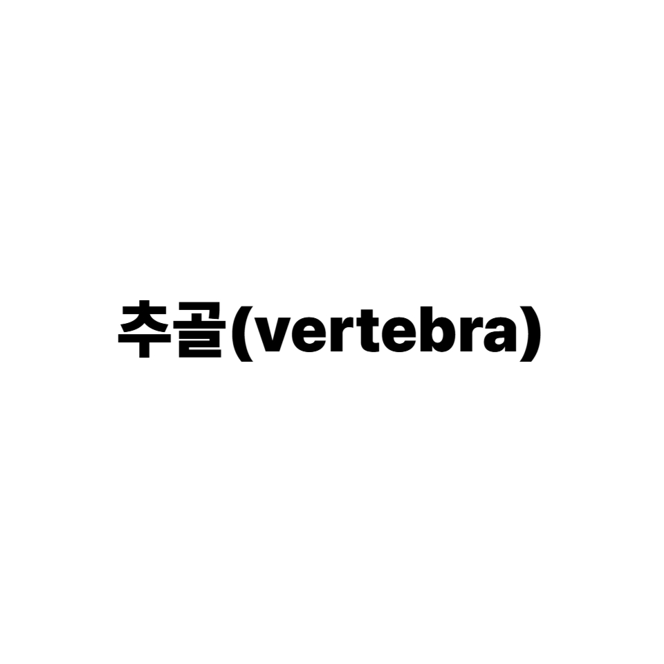 추골