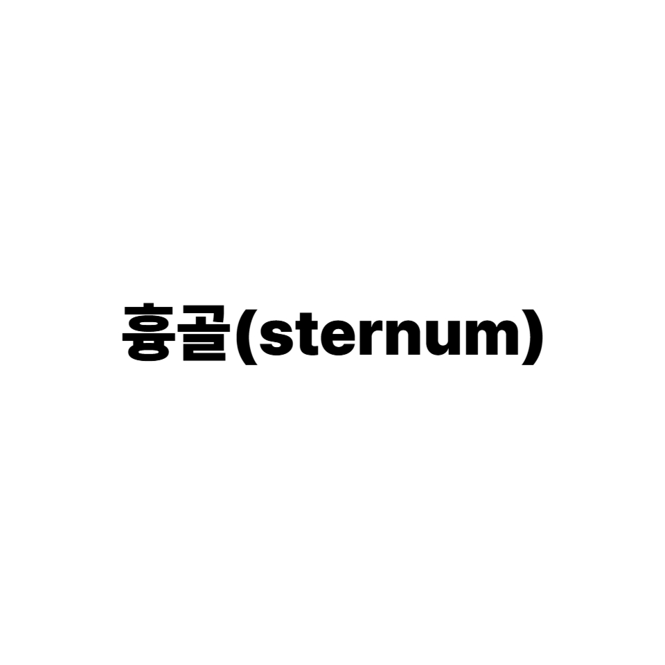 흉골