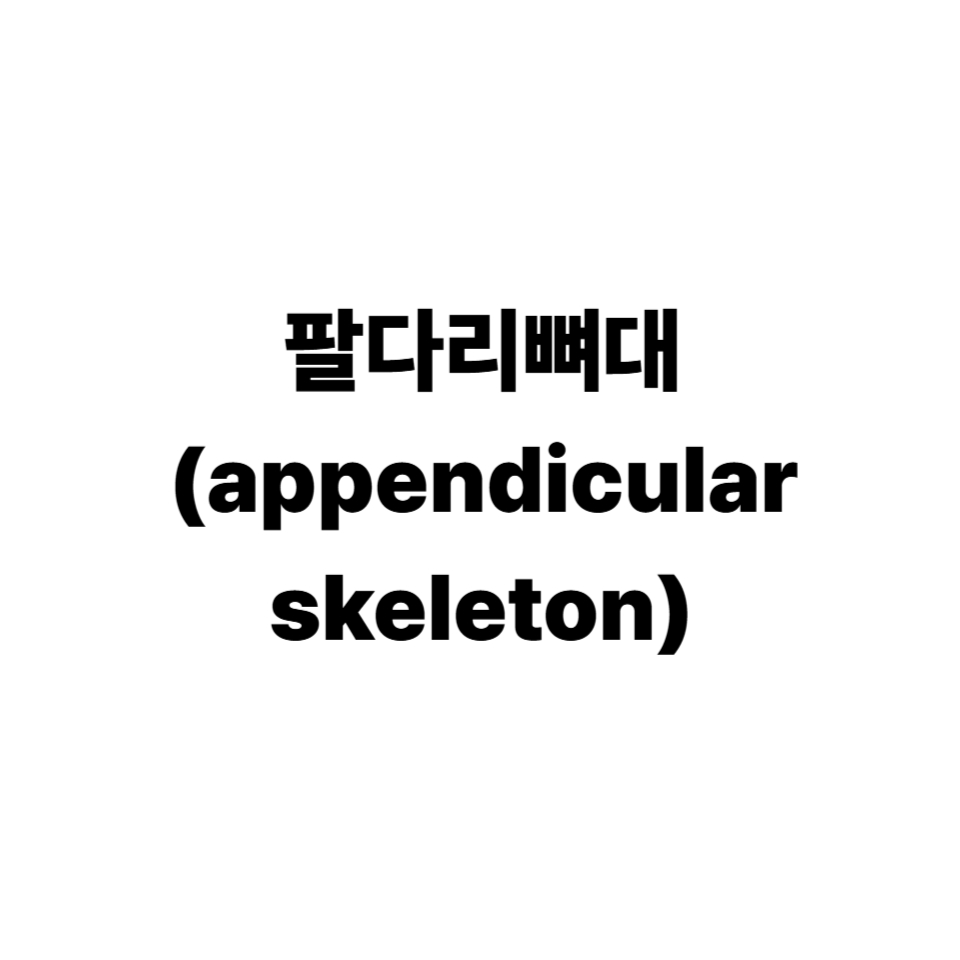 팔다리뼈대