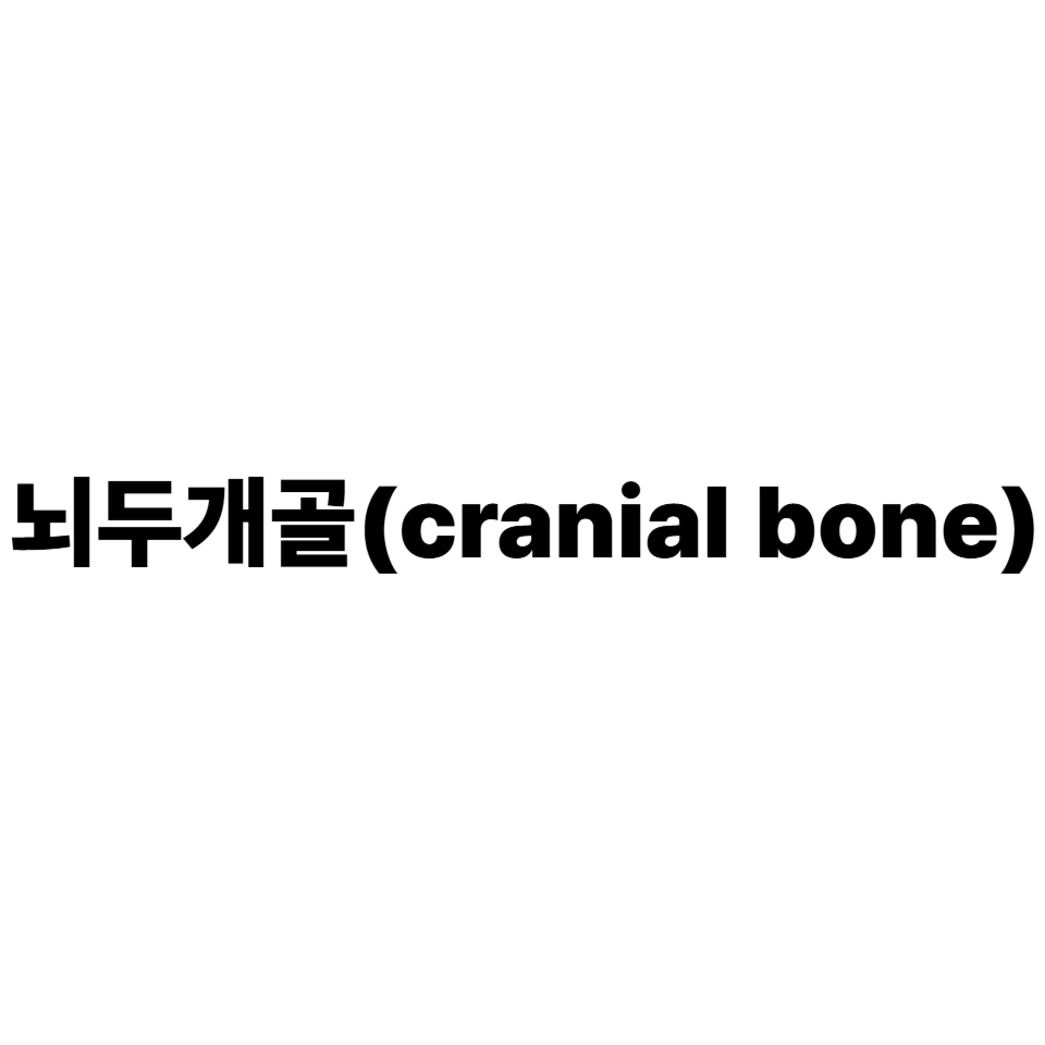 뇌두개골