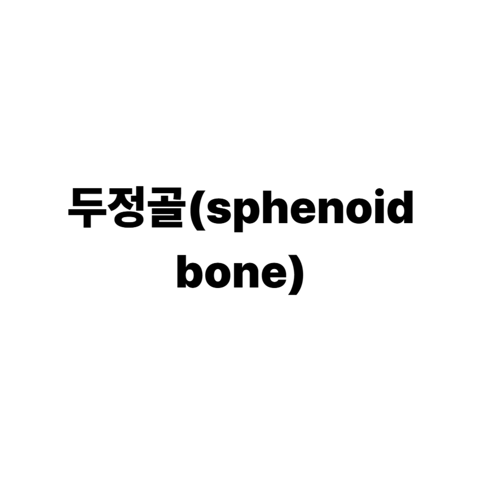 두정골