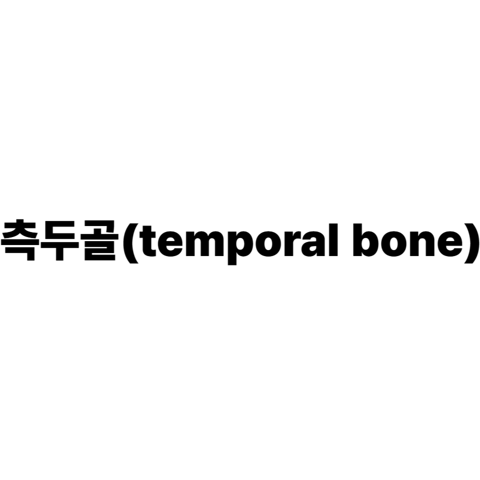 측두골