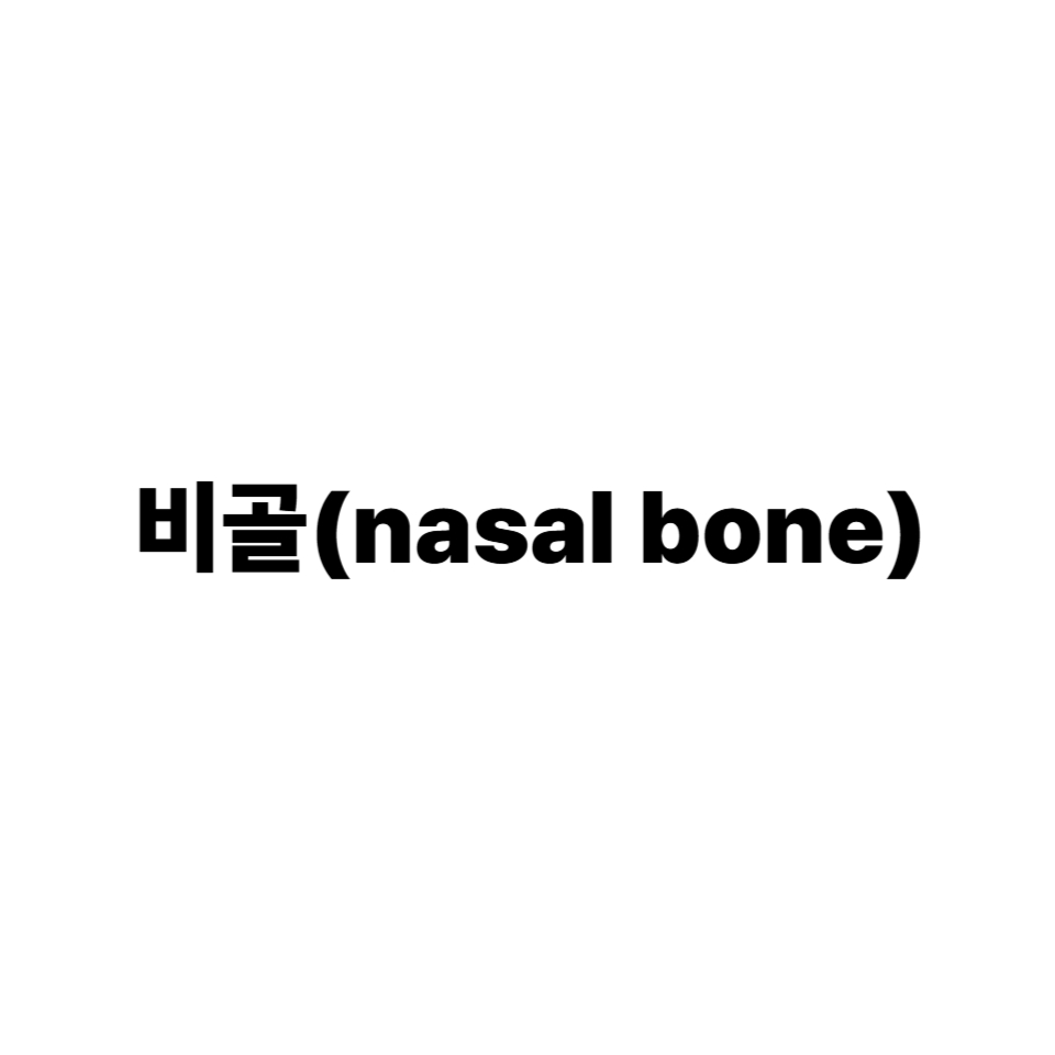 비골