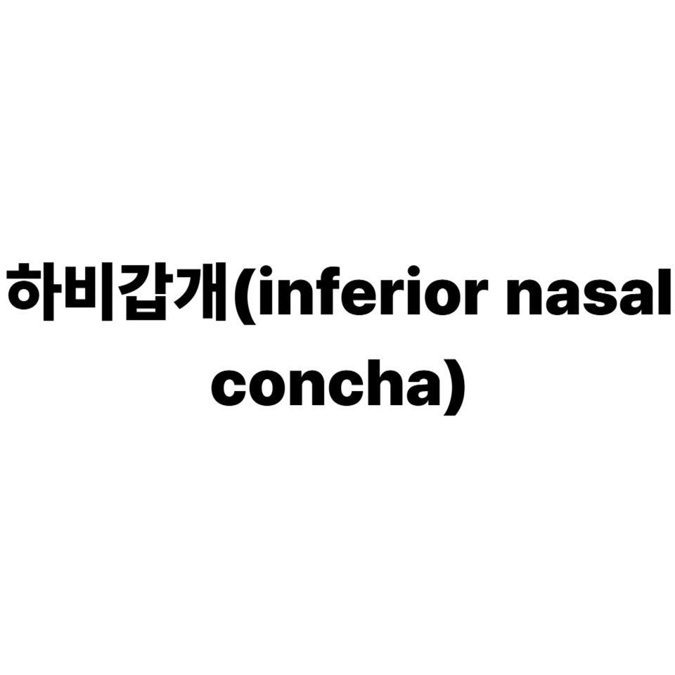 하비갑개
