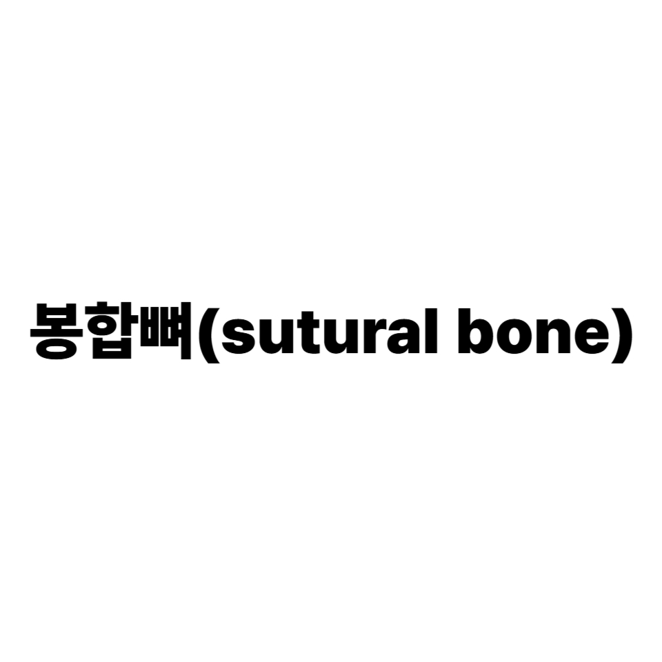 봉합뼈