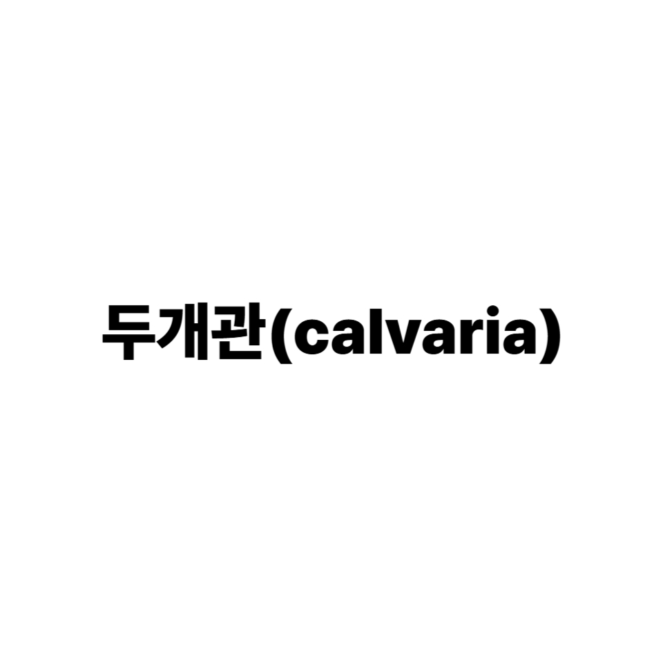 두개관