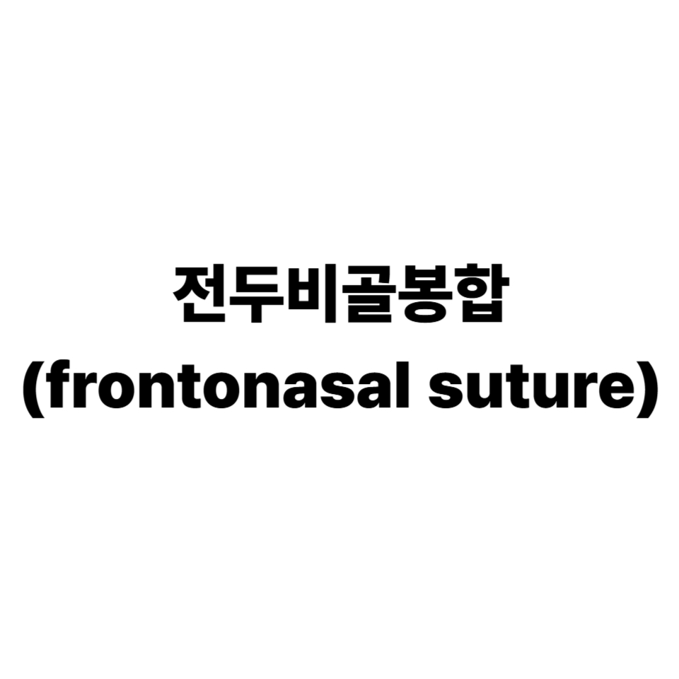 전두비골봉합