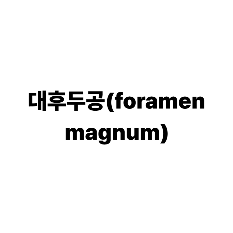대후두공