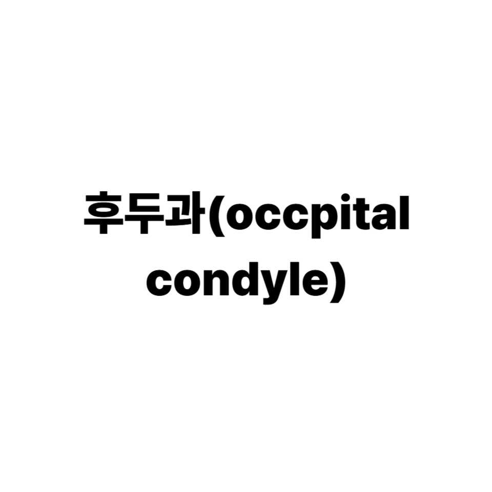 후두과