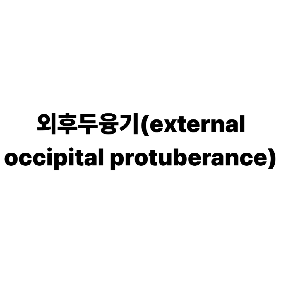 외후두융기