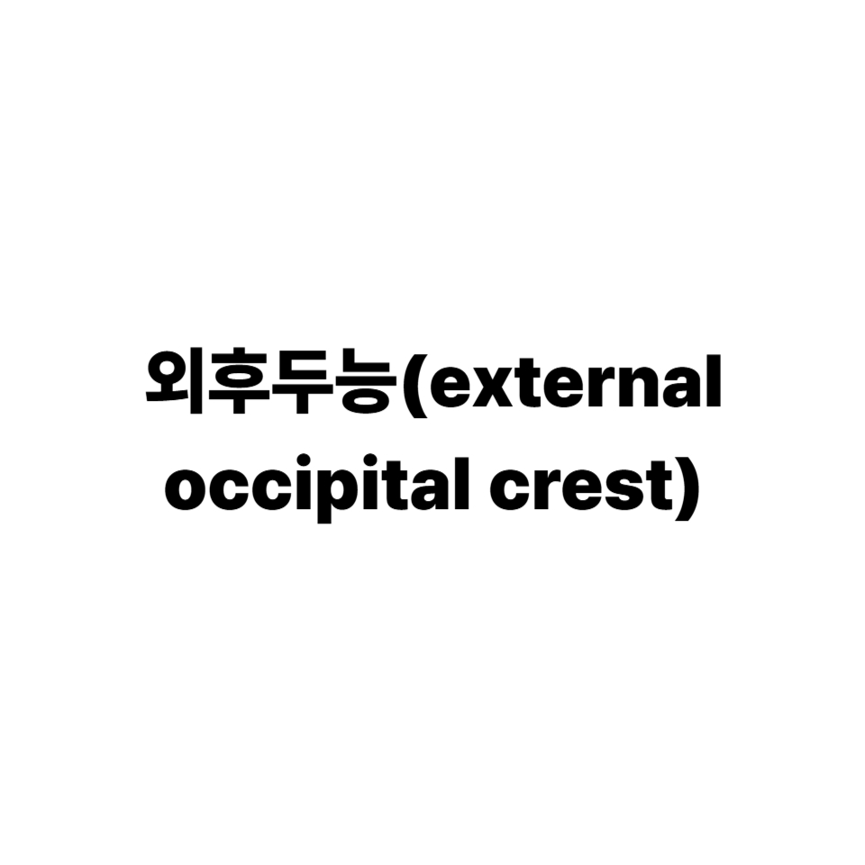 외후두능
