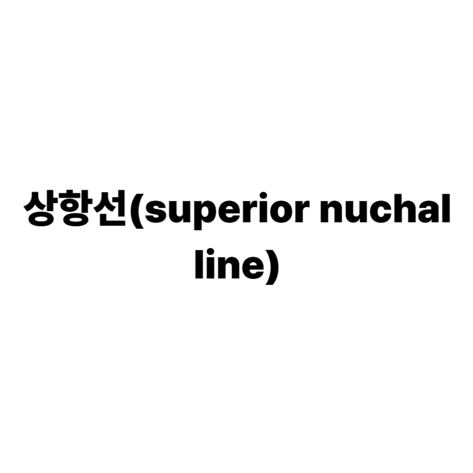 상항선