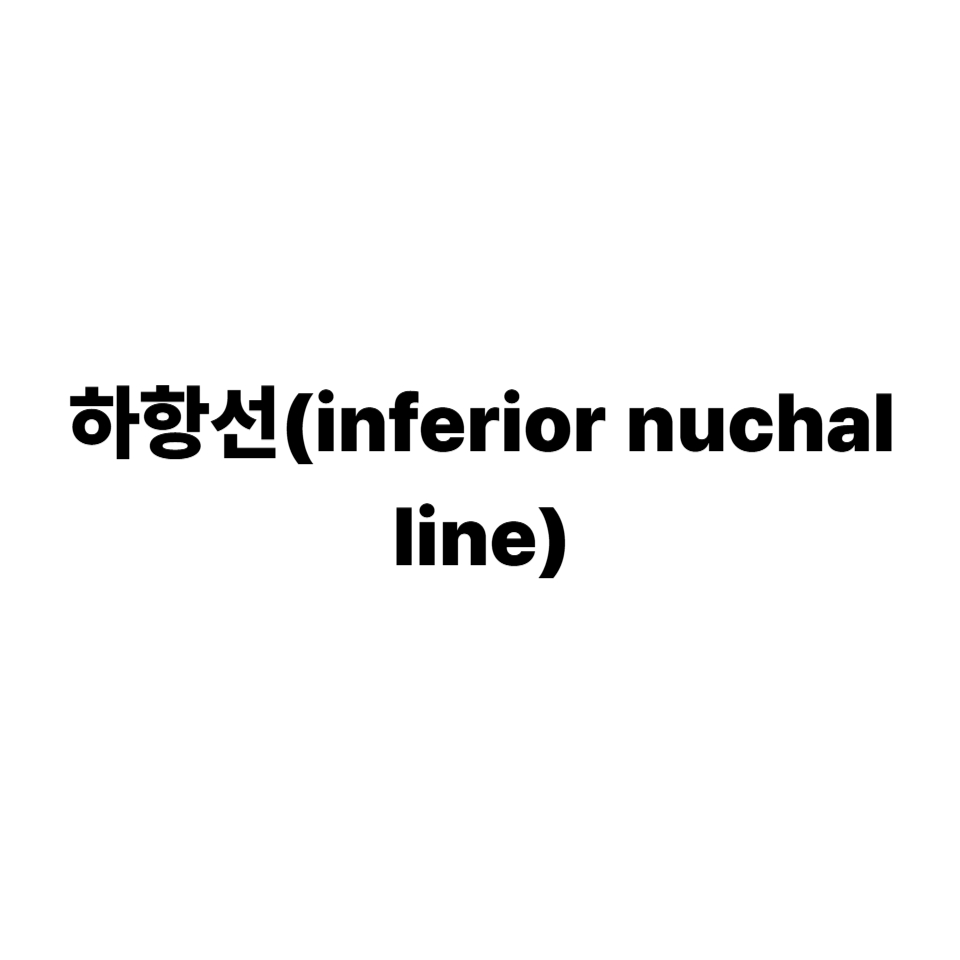 하항선