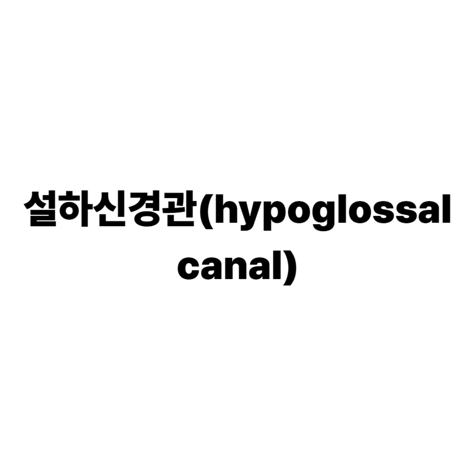 설하신경관