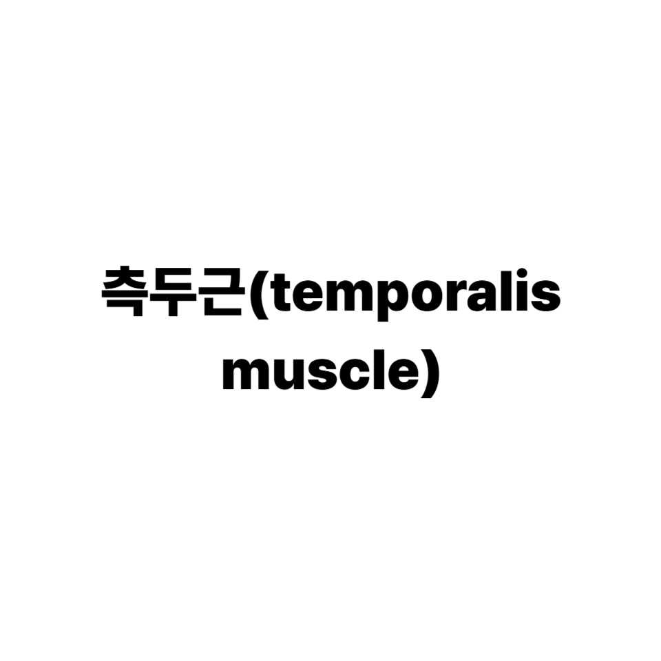 측두근