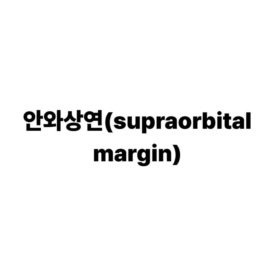 안와상연