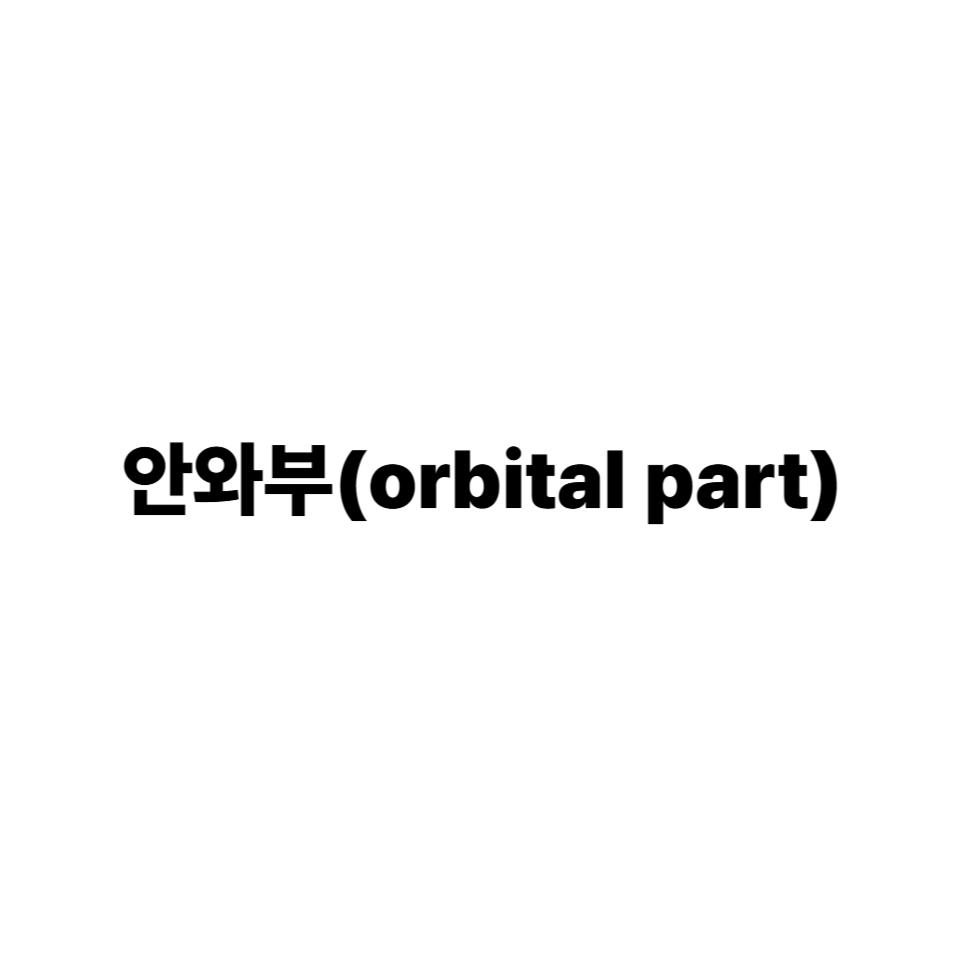 안와부