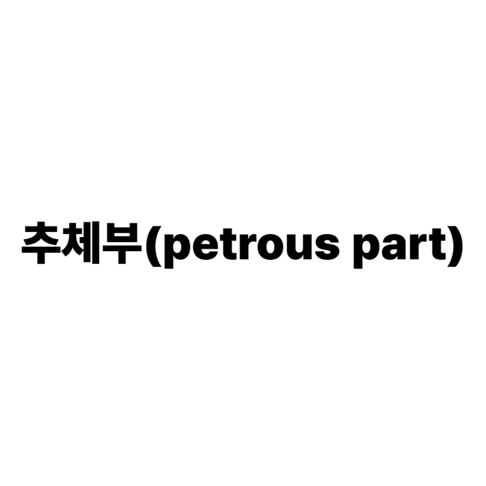 추체부