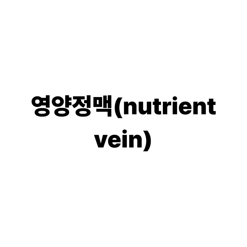 영양정맥