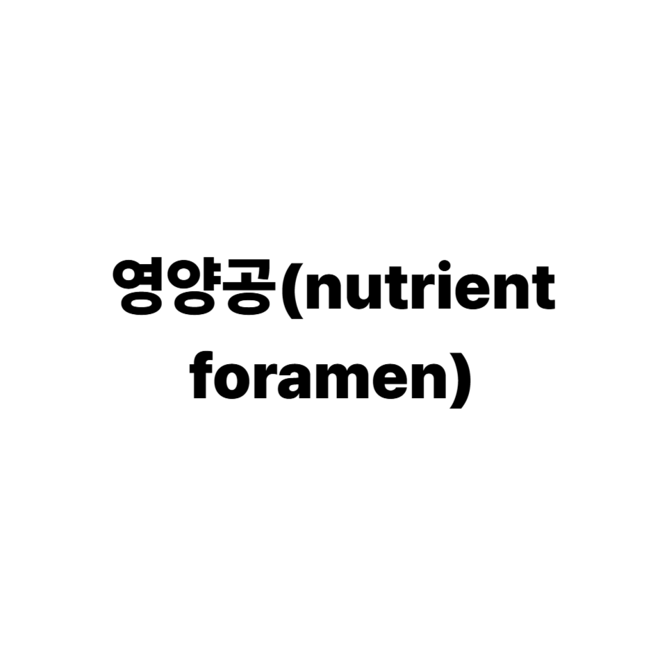 골간단혈관
