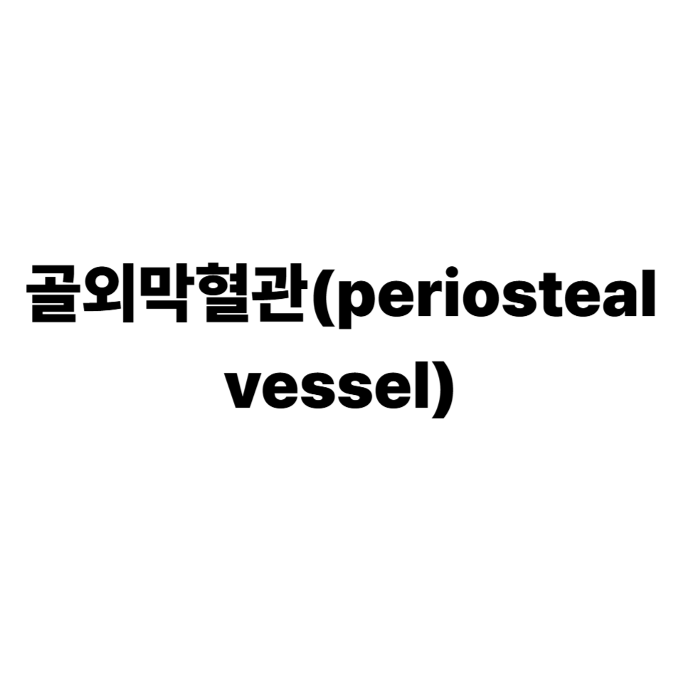 골외막혈관