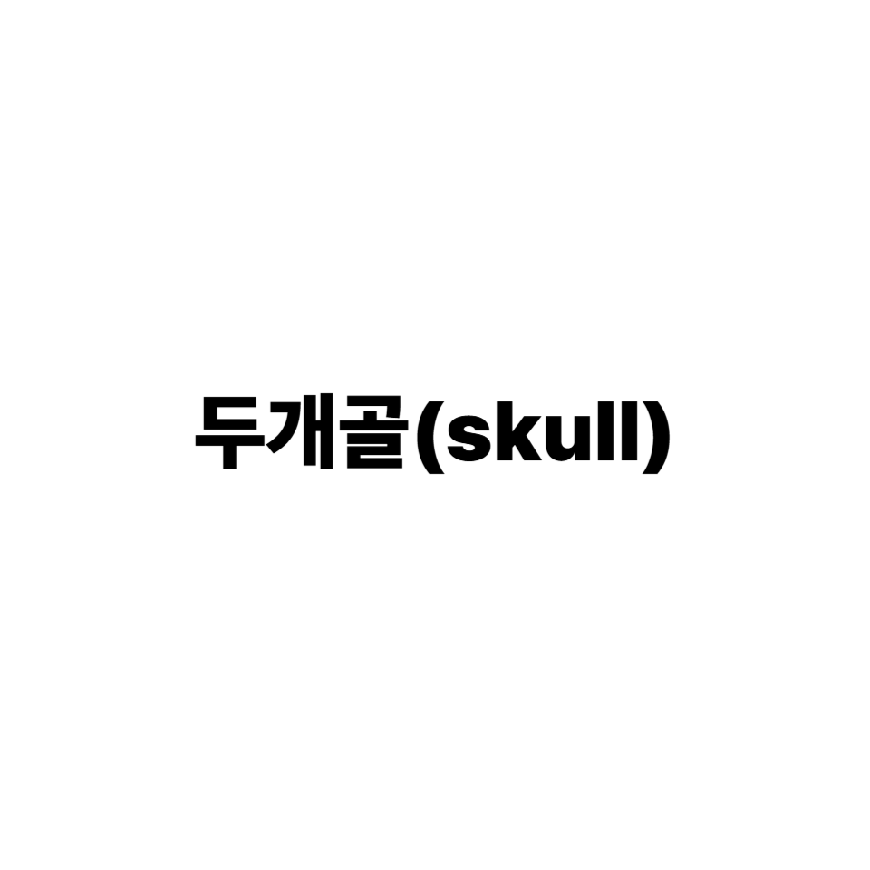 두개골