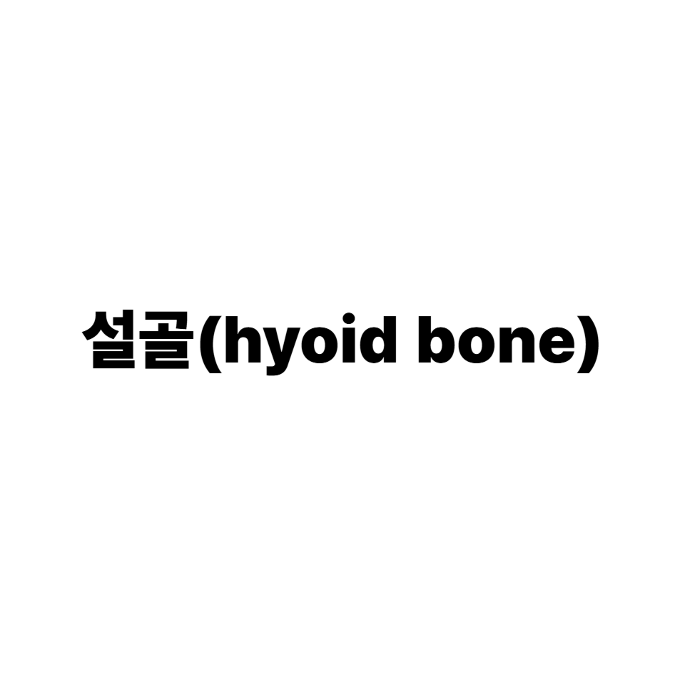 설골