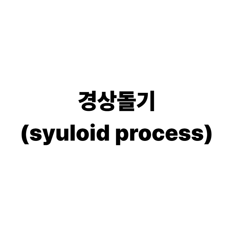경상돌기