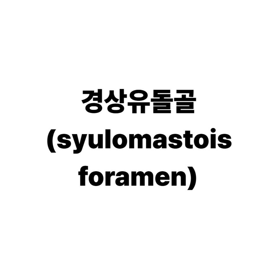 경상유돌골