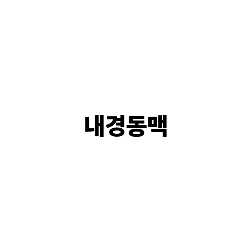 내경동맥