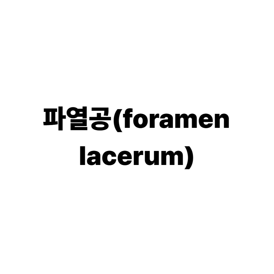 파열공