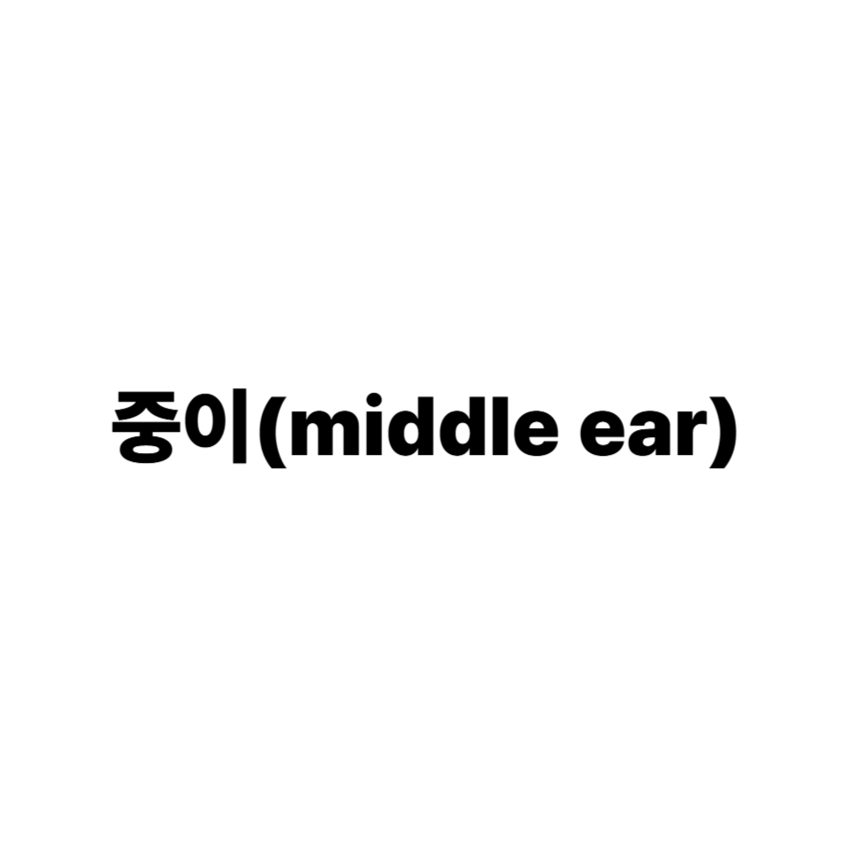 중이