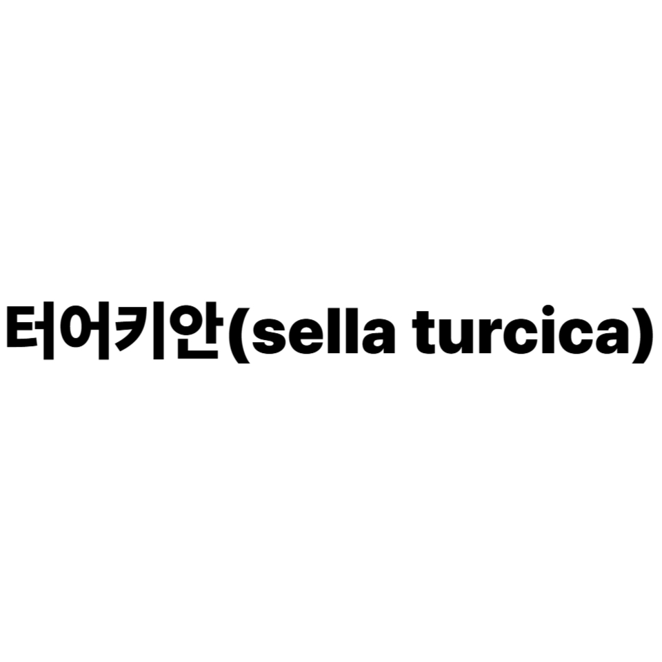 터어키안