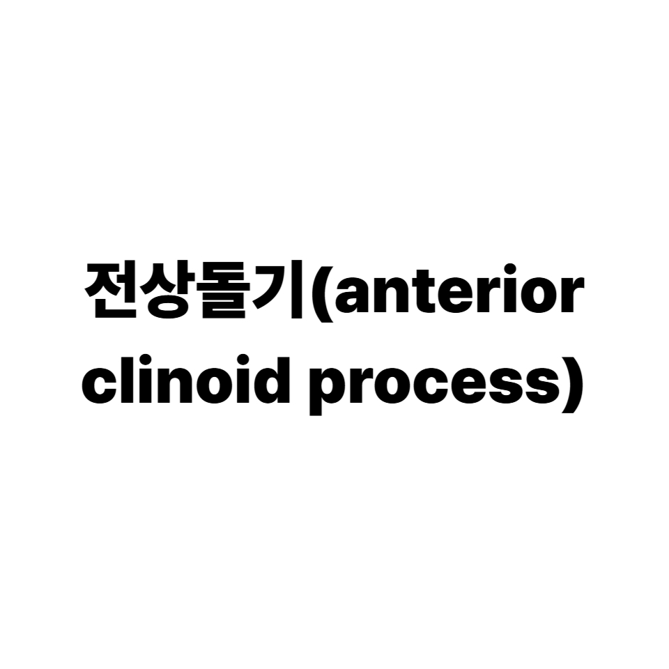 전상돌기