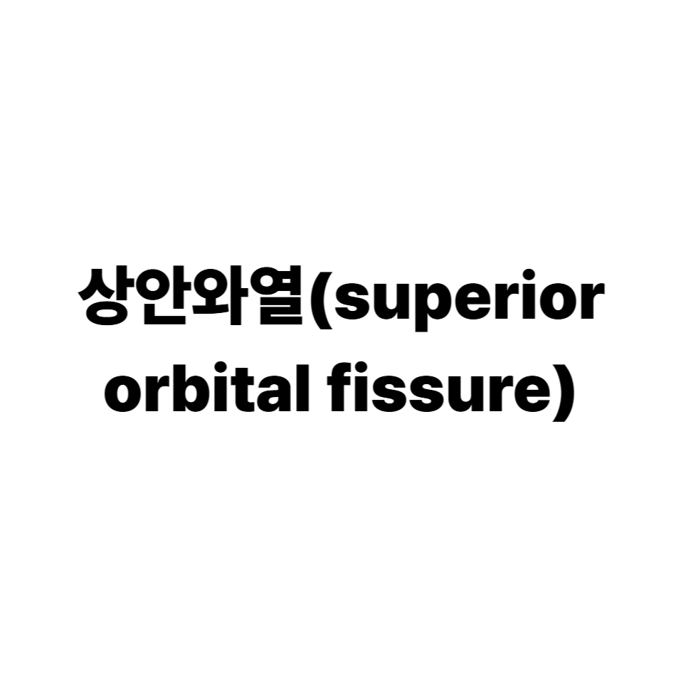 상안와열