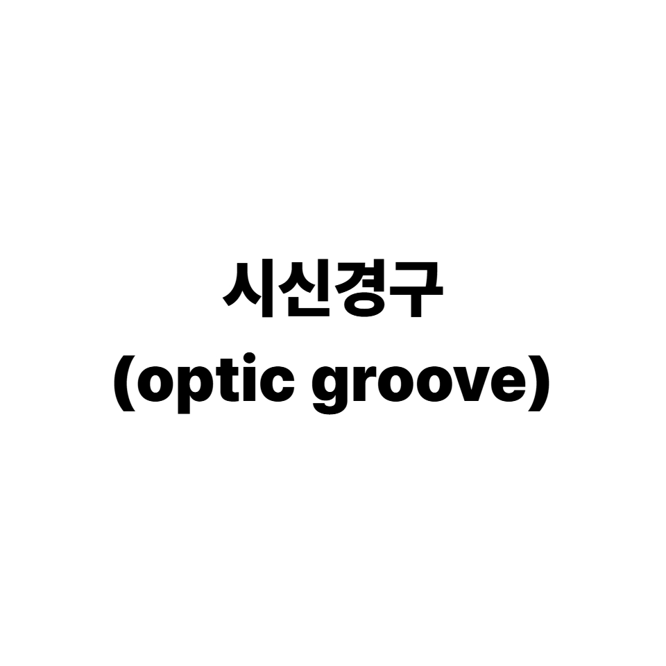 시신경구