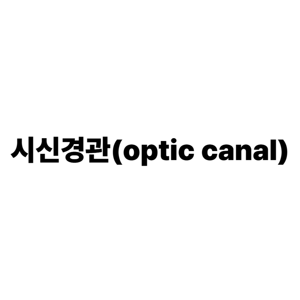 시신경관