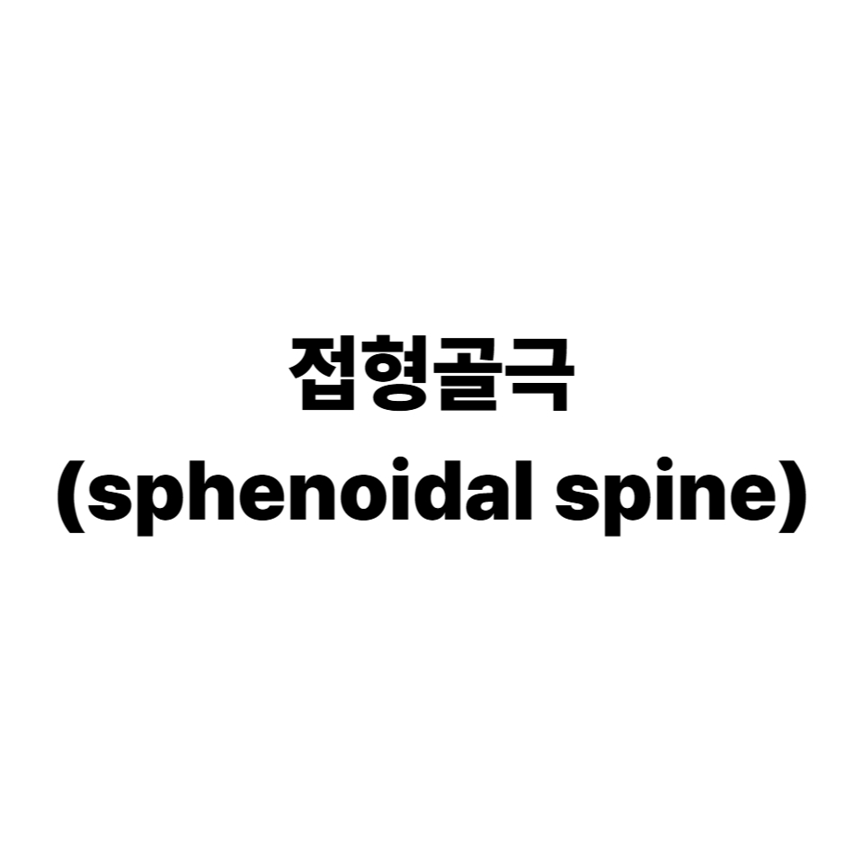 접형골극