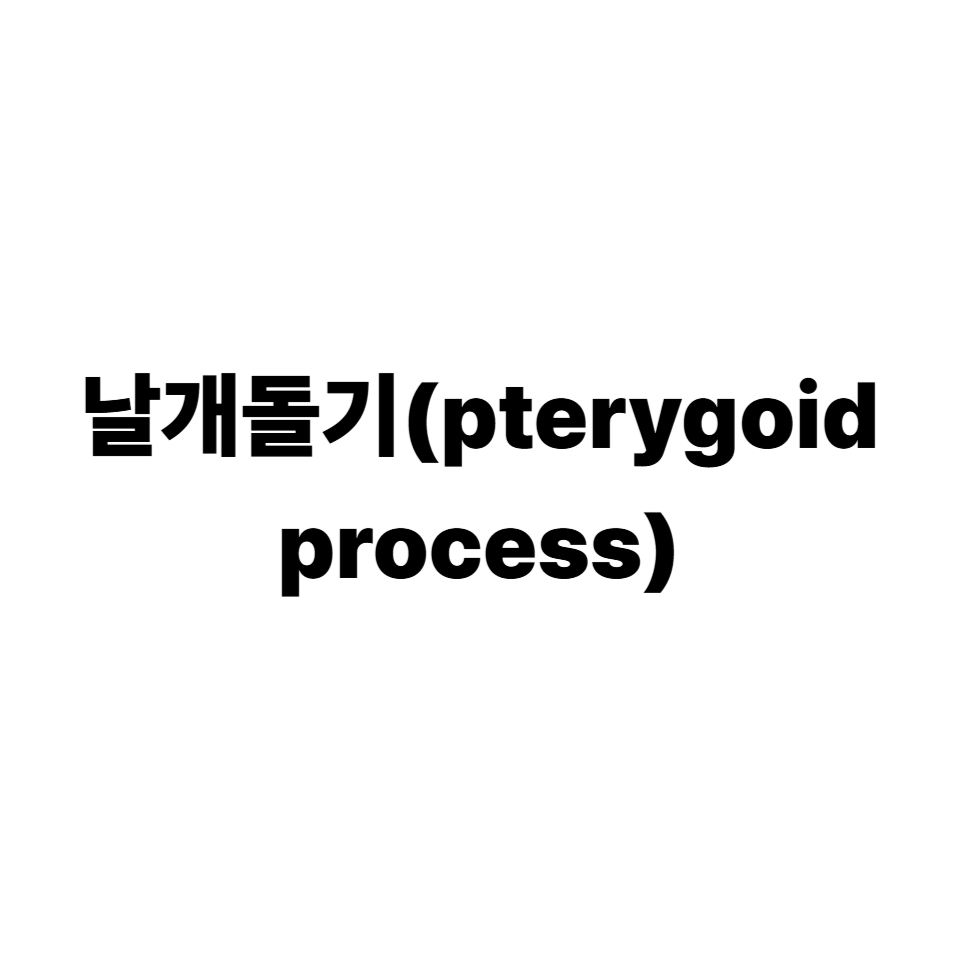 날개돌기