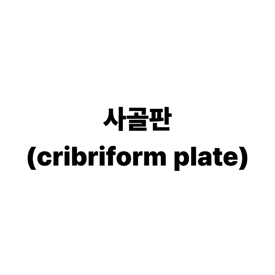 사골판