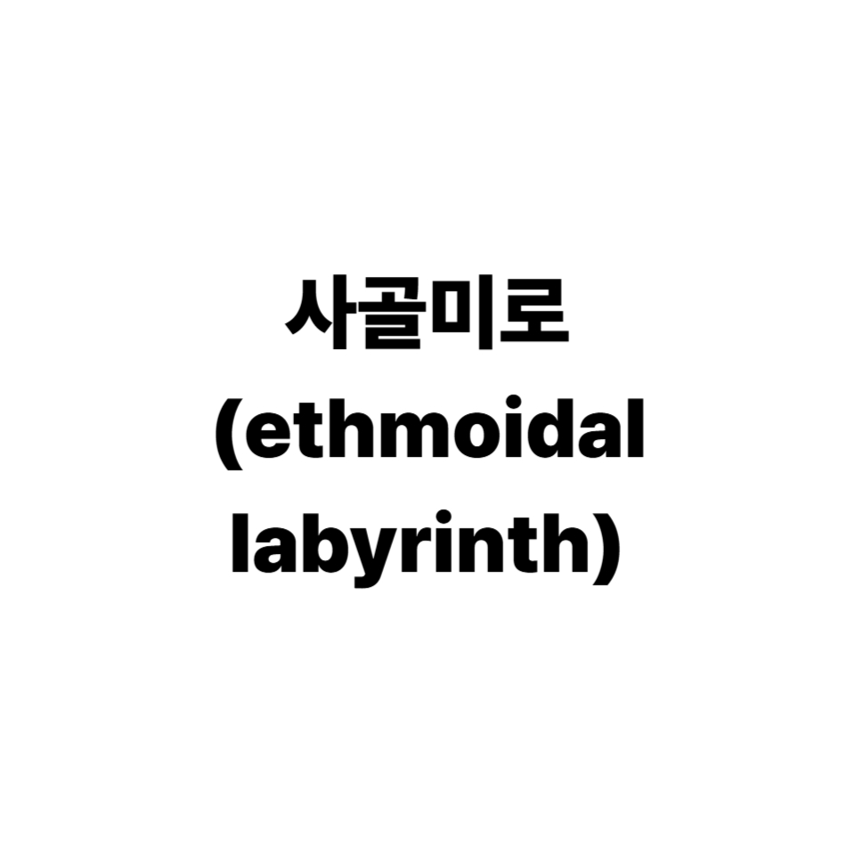 사골미로