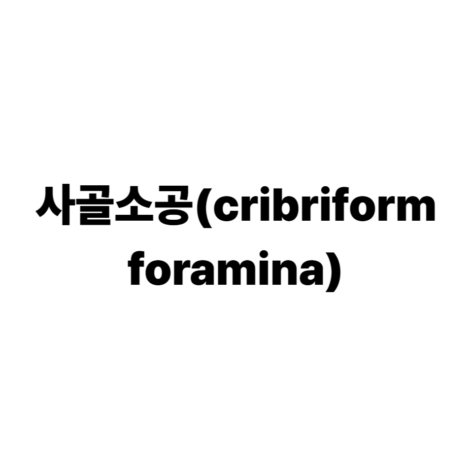 사골소공