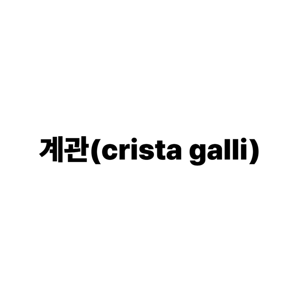 계관
