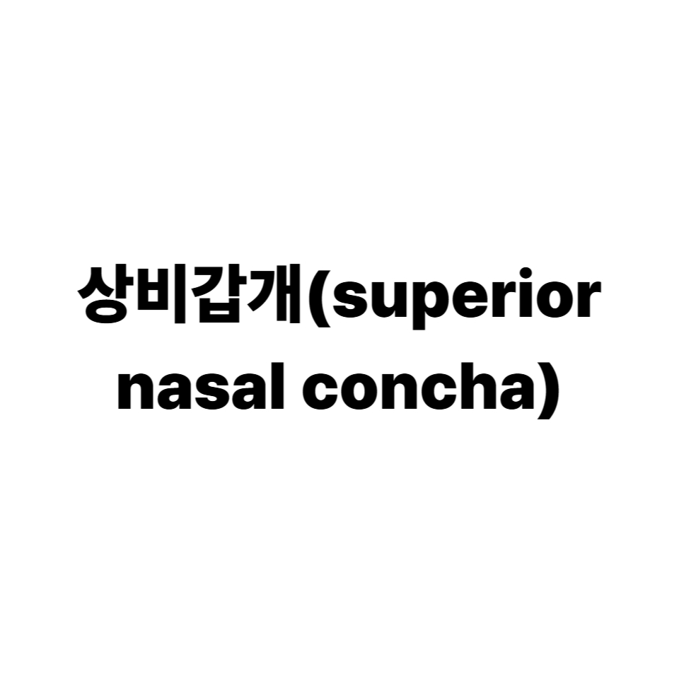 중비갑개