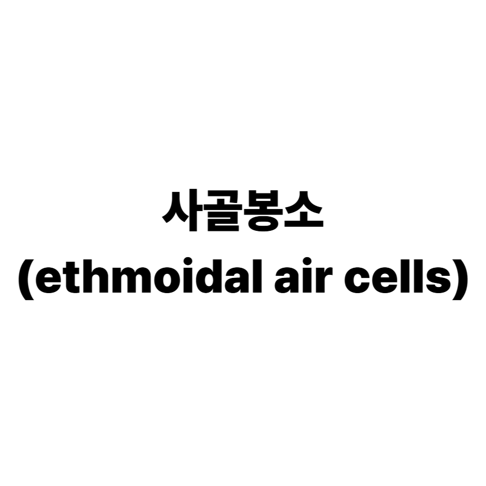 사골봉소