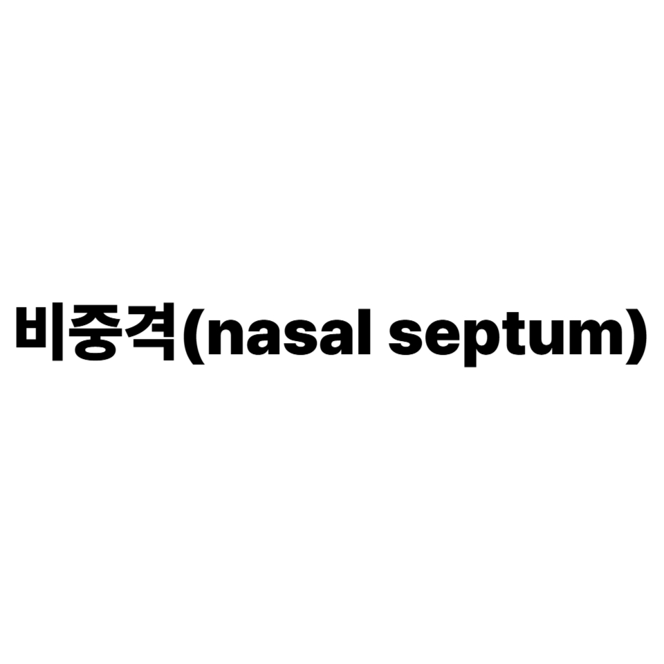 비중격